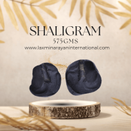 Shaligram shila 575gms