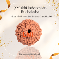 9 Mukhi Indonesian Rudraksha Size 13-15 mm (With Lab Certificate)