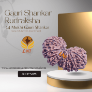 14 Mukhi Gauri Shankar Ganesha Rudraksha Size 33.82mm (Certified)
