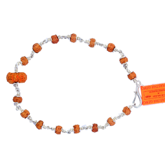 7 Mukhi Rudraksha / Seven Face Rudraksh Bracelet -Nepal -14 Beads Lab  Certified | eBay