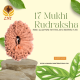 17 Mukhi Rudraksha Size: 22.20 mm (With Lab Certificate)