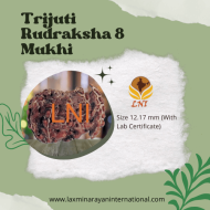 Trijuti Rudraksha 8 Mukhi Size 12.17 mm (Certified)