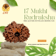 17 Mukhi Rudraksha Size: 21.76 mm (With Lab Certificate)