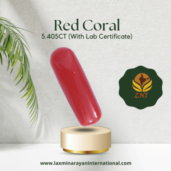 Red Coral 5.405CT (With Lab Certificate)