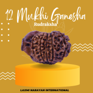 12 Mukhi Ganesha Rudraksha Size 25.55 mm (With Lab Certificate)