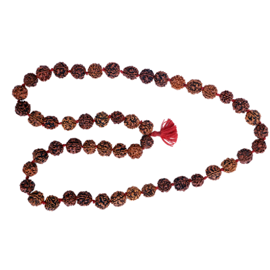 4 Mukhi Rudraksha Mala 51 beads