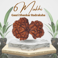 6 Mukhi Gauri Shankar Rudraksha Size: 31.50mm (With Lab Certificate)