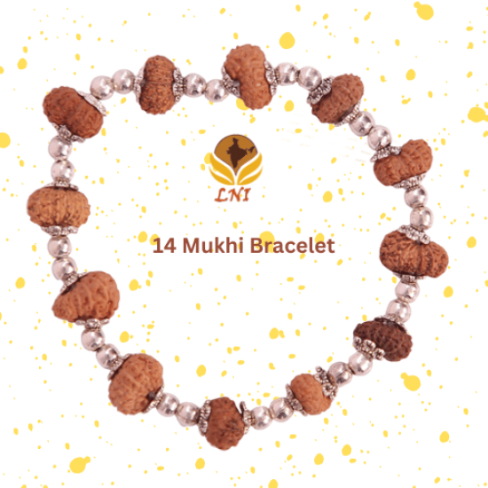 2 Mukhi Rudraksha Bracelet | himalaya rudraksha anusandhan kendra
