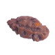 Certified 1 Mukhi Indonesian Rudraksha -10.23mm