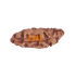Certified Indonesian 1 Mukhi Rudraksha (16.69mm)