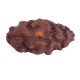 Certified 1 Mukhi Indonesian Rudraksha - 9.85mm