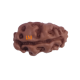 Certified 1 Mukhi Indonesian Rudraksha -9.96 mm