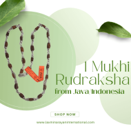 1 Mukhi Rudraksha Mala (Certified)