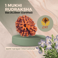 1 Mukhi Sawar Rudraksha Size 25.32mm (With Lab Certificate)