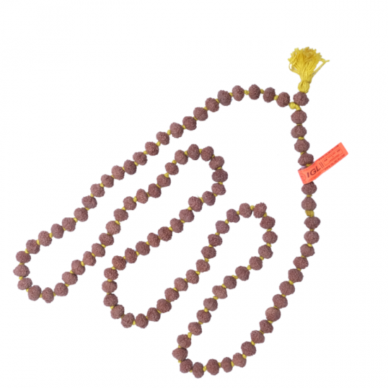 10 Mukhi Rudraksha Mala 108+1 beads (With Lab Certificate)