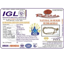 10 Mukhi Rudraksha Mala 55 beads (With Lab Certificate)