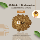 10 Mukhi Rudraksha Size 20.80 mm (With Lab Certificate)