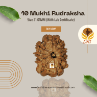 10 Mukhi Rudraksha Size 21.01 mm (With Lab Certificate)