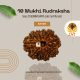 10 Mukhi Rudraksha Size 21.83 mm (With Lab Certificate)