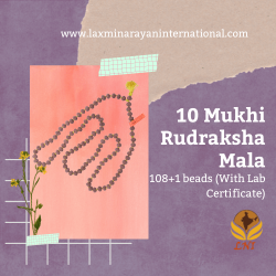 10 Mukhi Rudraksha Mala 108+1 beads (With Lab Certificate)