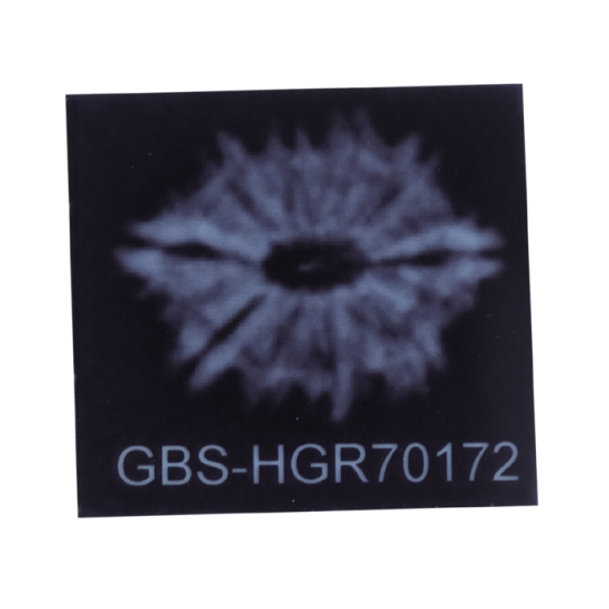 10 Mukhi Rudraksha Size 20.15 mm (With Lab Certificate) image