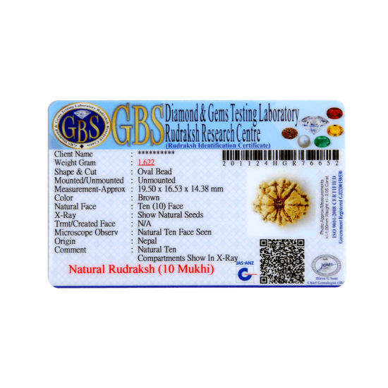10 Mukhi Rudraksha Size 20.80 mm (With Lab Certificate) image