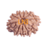 10 Mukhi Rudraksha Size 20.25 mm (With Lab Certificate)