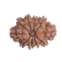 10 Mukhi Rudraksha Size 21.18 mm (With Lab Certificate)