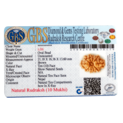 10 Mukhi Rudraksha Size 21.18 mm (With Lab Certificate)
