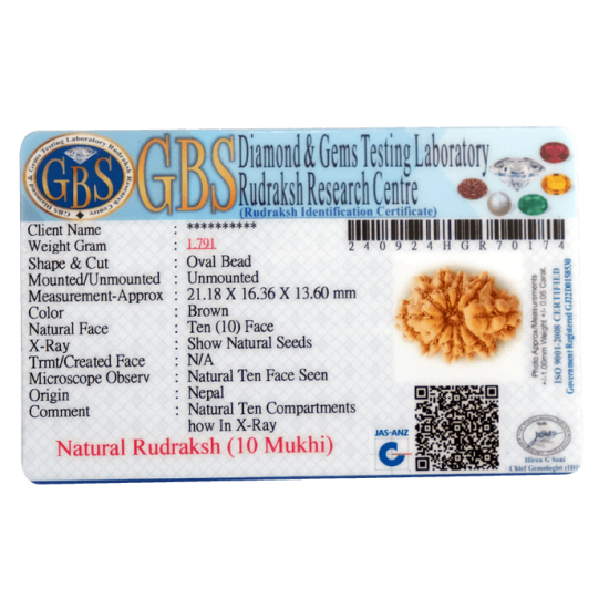 10 Mukhi Rudraksha Size 21.83 mm (With Lab Certificate) image