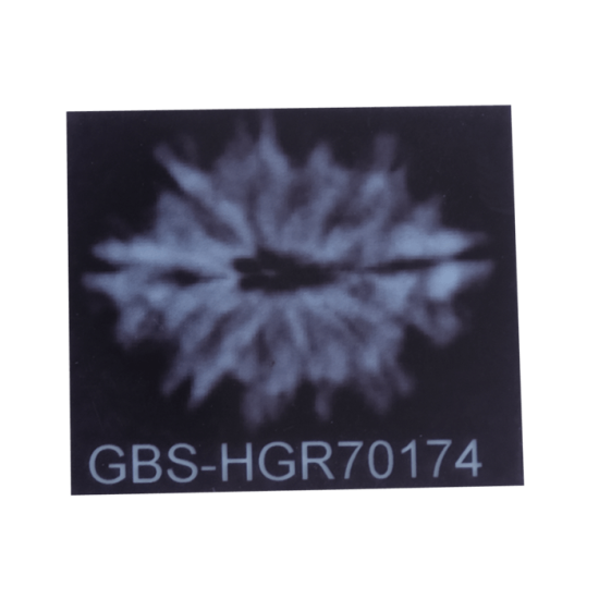 10 Mukhi Rudraksha Size 21.83 mm (With Lab Certificate) image