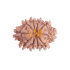 10 Mukhi Rudraksha Size 21.30 mm (With Lab Certificate)