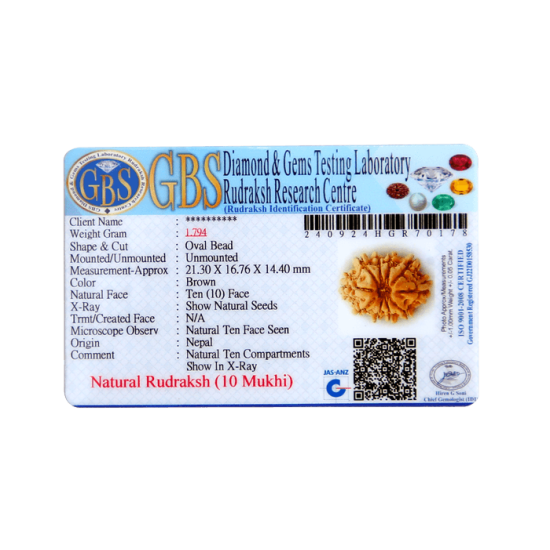 10 Mukhi Rudraksha Size 21.73 mm (With Lab Certificate) Rudraksha, 10 Mukhi Rudraksha, 10 Mukhi Rudraksha from Nepal image