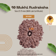 10 Mukhi Rudraksha Size 21.73 mm (With Lab Certificate)
