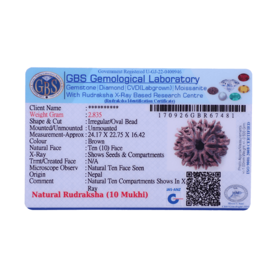 10 Mukhi Rudraksha Size 21.83 mm (With Lab Certificate) image