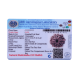 10 Mukhi Rudraksha Size 21.83 mm (With Lab Certificate) image