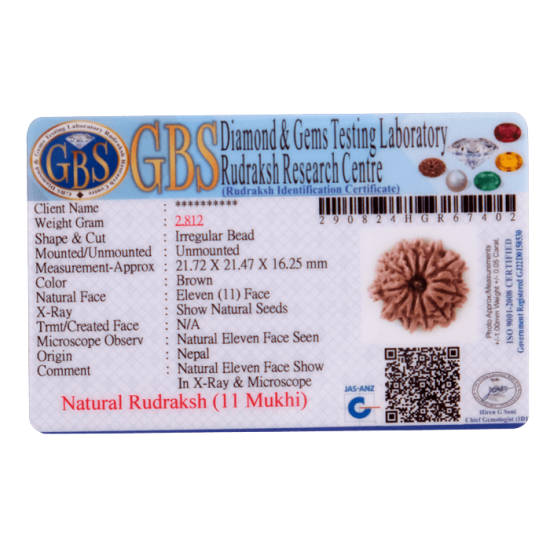 11 Mukhi Rudraksha Size: 21.72 mm (With Lab Certificate) image
