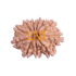 11 Mukhi Rudraksha Size: 22.11 mm (With Lab Certificate)