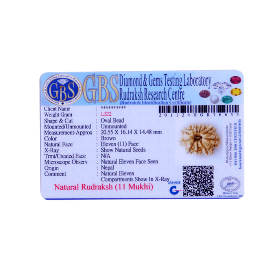 11 Mukhi Rudraksha Size: 22.62 mm (With Lab Certificate) Rudraksha, 11 Mukhi Rudraksha, 11 Mukhi Rudraksha from Nepal image