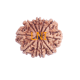11 Mukhi Rudraksha Size: 29.25 mm (With Lab Certificate) Rudraksha, 11 Mukhi Rudraksha, 11 Mukhi Rudraksha from Nepal image