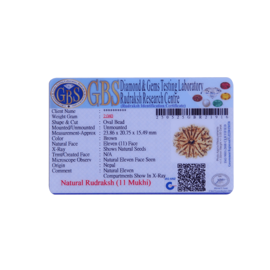 11 Mukhi Rudraksha Size: 29.25 mm (With Lab Certificate) Rudraksha, 11 Mukhi Rudraksha, 11 Mukhi Rudraksha from Nepal image
