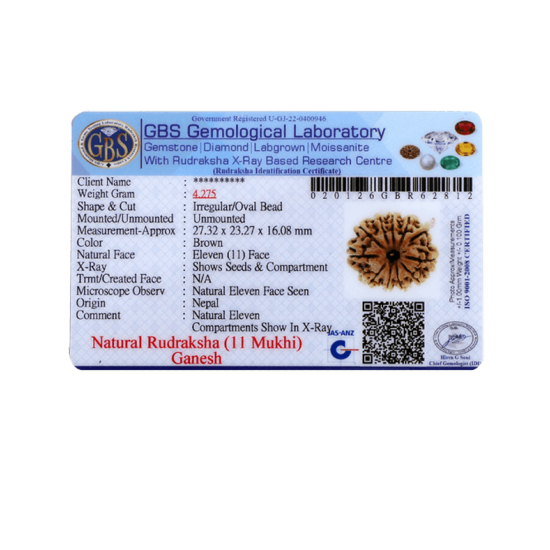 11 Mukhi Ganesha Rudraksha Size: 24.02mm (Certified) image