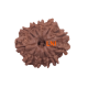 11 Mukhi Rudraksha Size: 21.74 mm (With Lab Certificate) Rudraksha, 11 Mukhi Rudraksha, 11 Mukhi Rudraksha from Nepal image