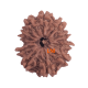 11 Mukhi Rudraksha Size: 23.32 mm (With Lab Certificate) Rudraksha, 11 Mukhi Rudraksha, 11 Mukhi Rudraksha from Nepal image