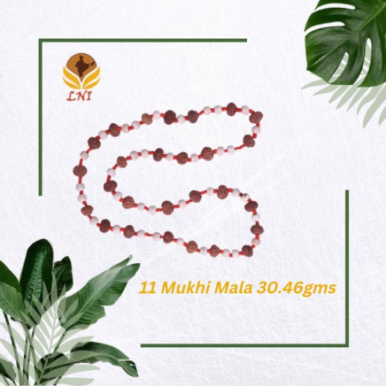 11 Mukhi Rudraksha Mala 30.46gms(Certified)