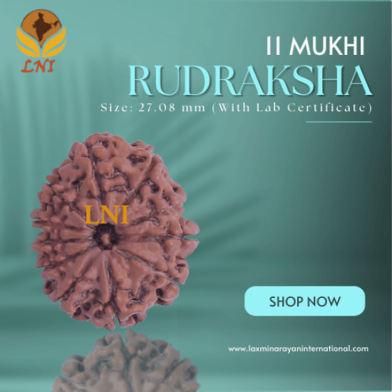 11 Mukhi Rudraksha Size: 27.08 mm (With Lab Certificate)