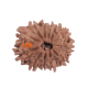 12 Mukhi Rudraksha