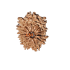 12 Mukhi Rudraksha Size 21.15 mm (With Lab Certificate)