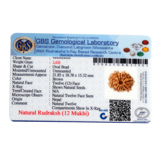 12 Mukhi Rudraksha Size 21.85mm( With Lab Certificate) Rudraksha, 12 Mukhi Rudraksha, 12 Mukhi Rudraksha from Nepal image