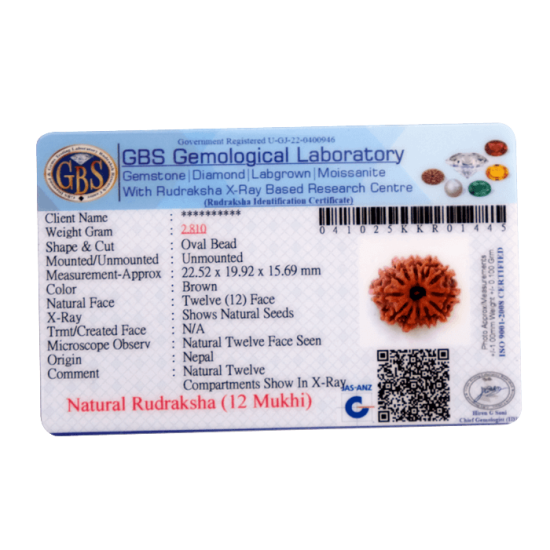 12 Mukhi Rudraksha Size 24.00 mm (With Lab Certificate) Rudraksha, 12 Mukhi Rudraksha, 12 Mukhi Rudraksha from Nepal image